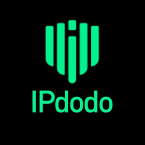 IPdodo全球网络代理
